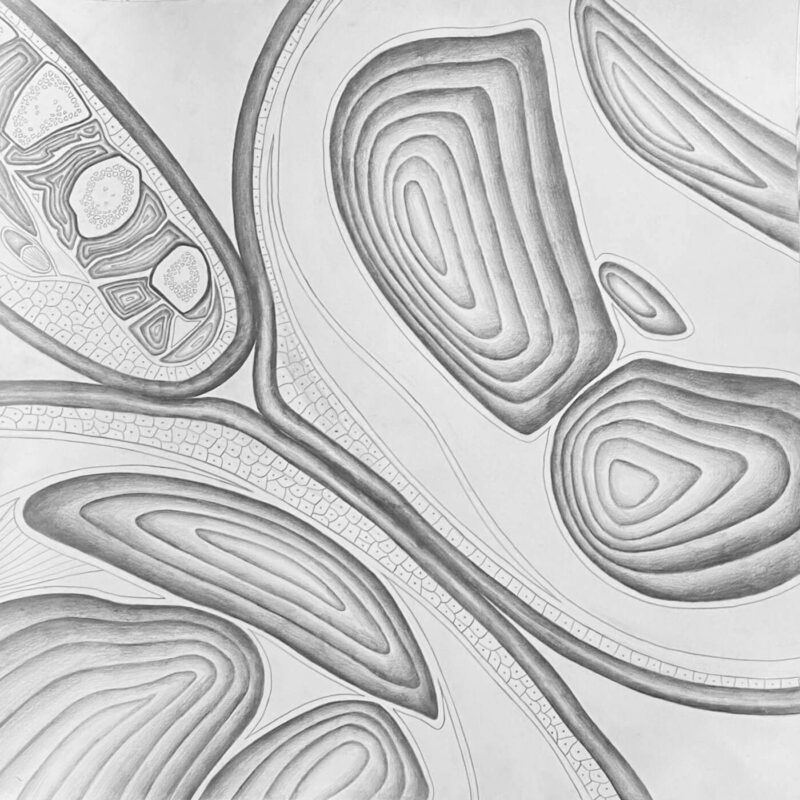C012020_2a0_05