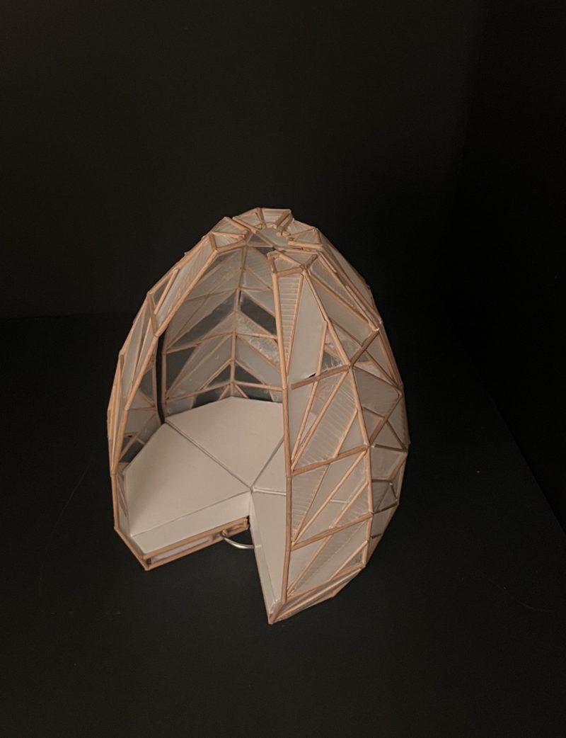 C212086_1b1_2