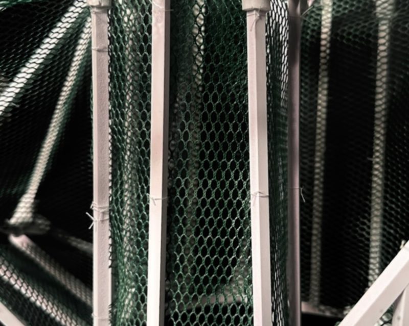 C335011_1b1_03