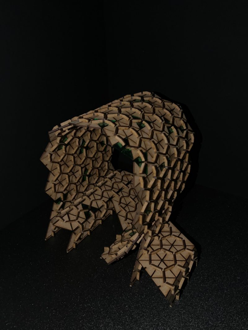 C335395_1b1_2